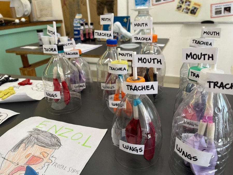 Projeto de ciências sobre o sistema respiratório na Science & Art Fair